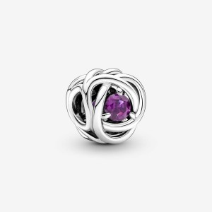 Pandora February Purple Eternity Circle Charm Argento | 42IKEYGXB