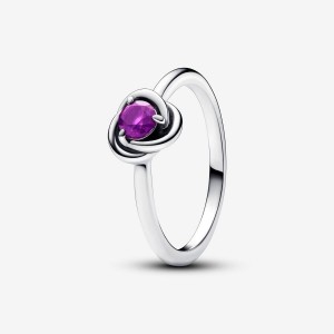 Pandora February Purple Eternity Circle Ring Argento | 40LUZYEBP