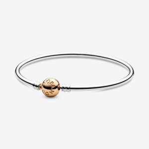 Pandora Moments Bangle Colorate | 73ACGIYXK