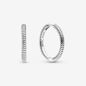 Pandora Moments Charm Hoop Earrings Argento | 93QJYOSTW