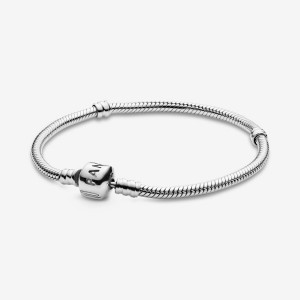 Pandora Moments Snake Chain Bracelet Argento | 03POFRSKZ