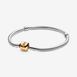 Pandora Moments Snake Chain Bracelet Colorate | 70BOVFIGD