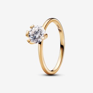 Pandora Ring 1.00 carat tw 14k Gold Oro | 60TPQHEZO