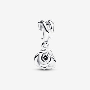 Pandora Rose in Bloom Dangle Charm Argento | 15TINFZQC