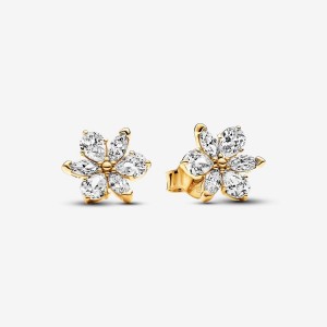 Pandora Sparkling Herbarium Cluster Stud Earrings Oro | 97JCUXIBM