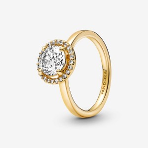 Pandora Sparkling Round Halo Ring Oro | 16FRELXBM