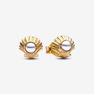 Pandora The Little Mermaid Seashell Stud Earrings Oro | 85XTCYSEW