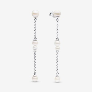 Pandora Treated Freshwater Cultured Pearl Drop Earrings Argento | 04KWIUFYB