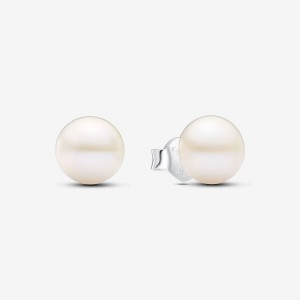 Pandora Treated Freshwater Cultured Pearl 7mm Stud Earrings Argento | 48EYPFVZI