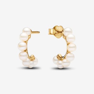 Pandora Treated Freshwater Cultured Pearls Open Hoop Earrings Oro | 59SDWOTRF