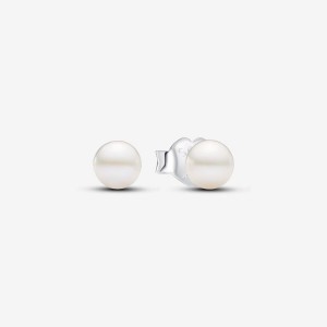 Pandora Treated Freshwater Cultured Pearl 4.5mm Stud Earrings Argento | 63OCRMKQU