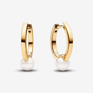 Pandora Treated Freshwater Cultured Pearl Hoop Earrings Oro | 40HKGZAMI