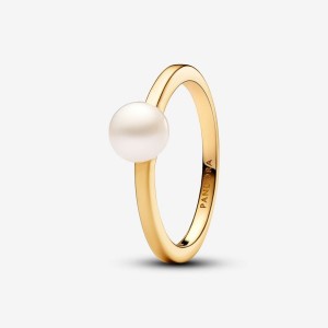 Pandora Treated Freshwater Cultured Pearl Ring Oro | 26QCRGSHN