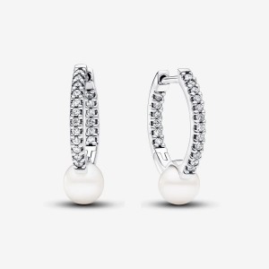 Pandora Treated Freshwater Cultured Pearl & Pave Hoop Earrings Argento | 57GORWHLM