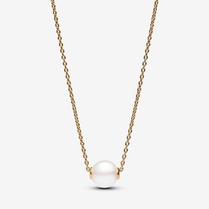Pandora Treated Freshwater Cultured Pearl Collier Necklace Oro | 75MUYWFKS