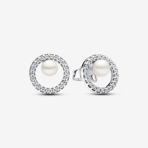 Pandora Treated Freshwater Cultured Pearl & Pave Halo Stud Earrings Argento | 71UVRJGFS