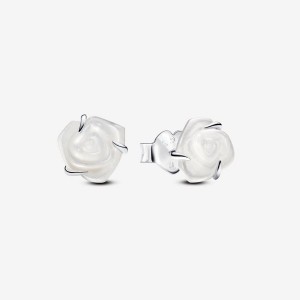 Pandora White Rose in Bloom Stud Earrings Argento | 67LSYJVQH